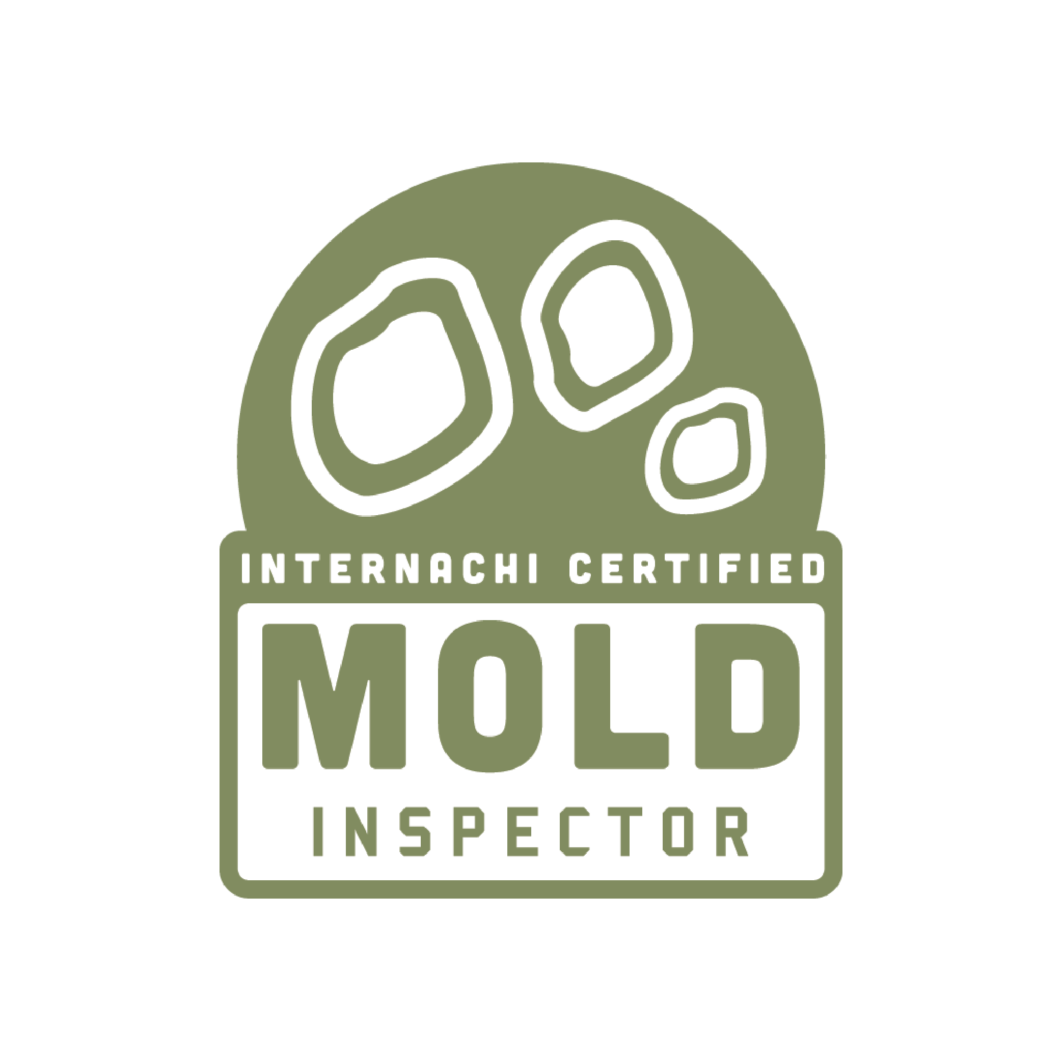 Internachi - Mold