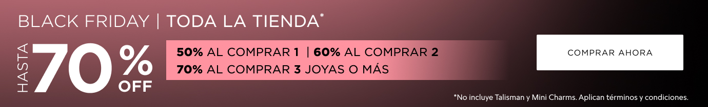 Black Friday Toda La Tienda