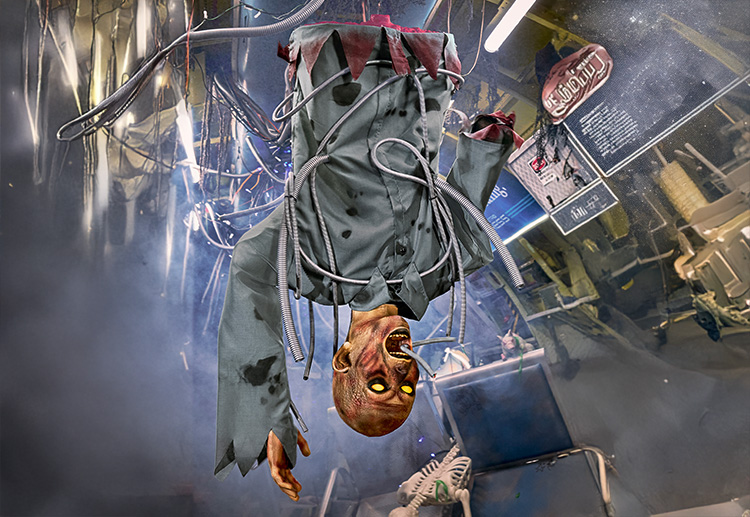 Shop Exclusive Animatronics
